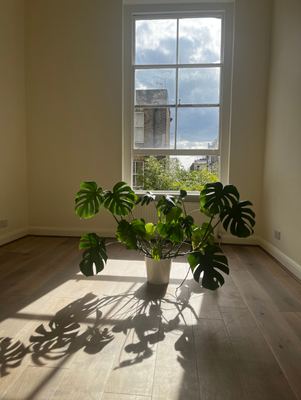 Wood flooring fitted in an empty room with sash window